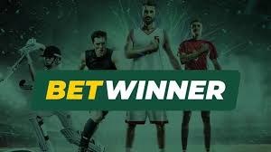 BetWinner Online Bookmaker Your Guide to Success in Sports Betting