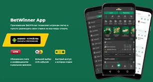 Descubra o Mundo das Apostas com a Betwinner